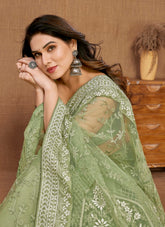 Nimble Looking Saree in Pista Colour